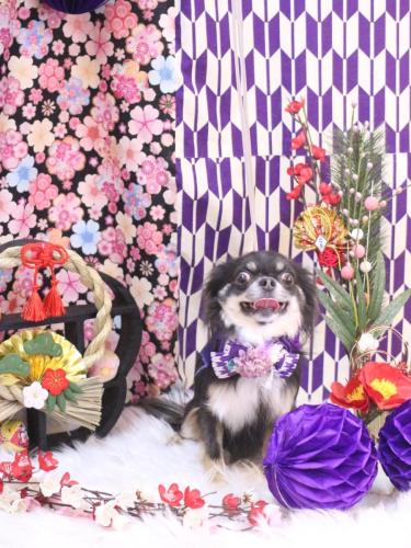 20250122らんまるちゃん